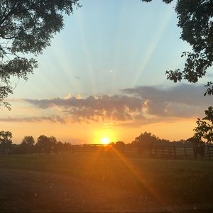 Meet your Posher, Cyndi